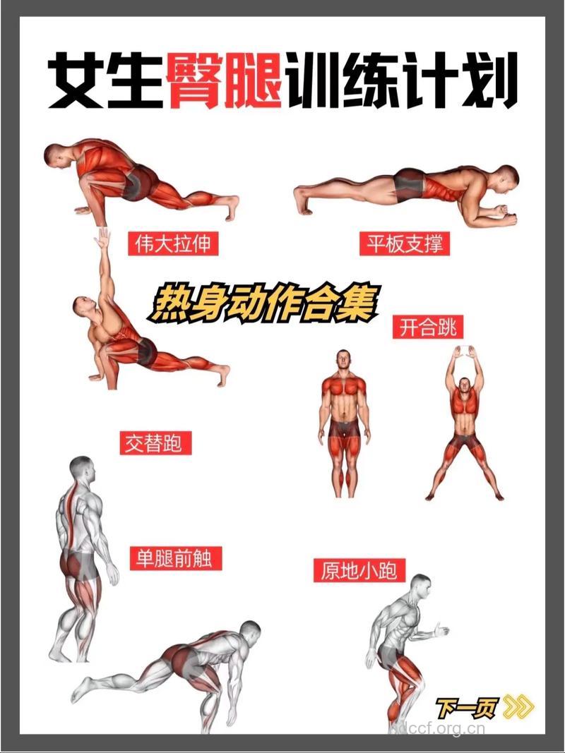 臀腿力量训练4个健身动作增强性能力
