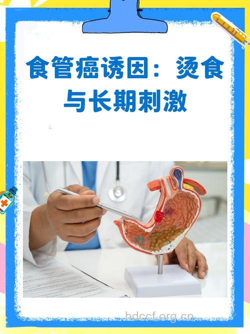 食物太烫会导致食道癌吗