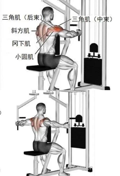 背部肌肉锻炼：让你拥有倒三角形的肩膀