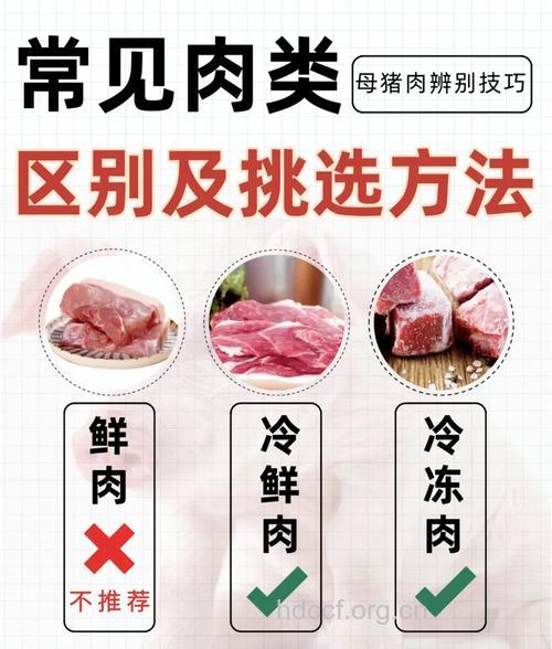 专家 吃冷冻肉的四大好处