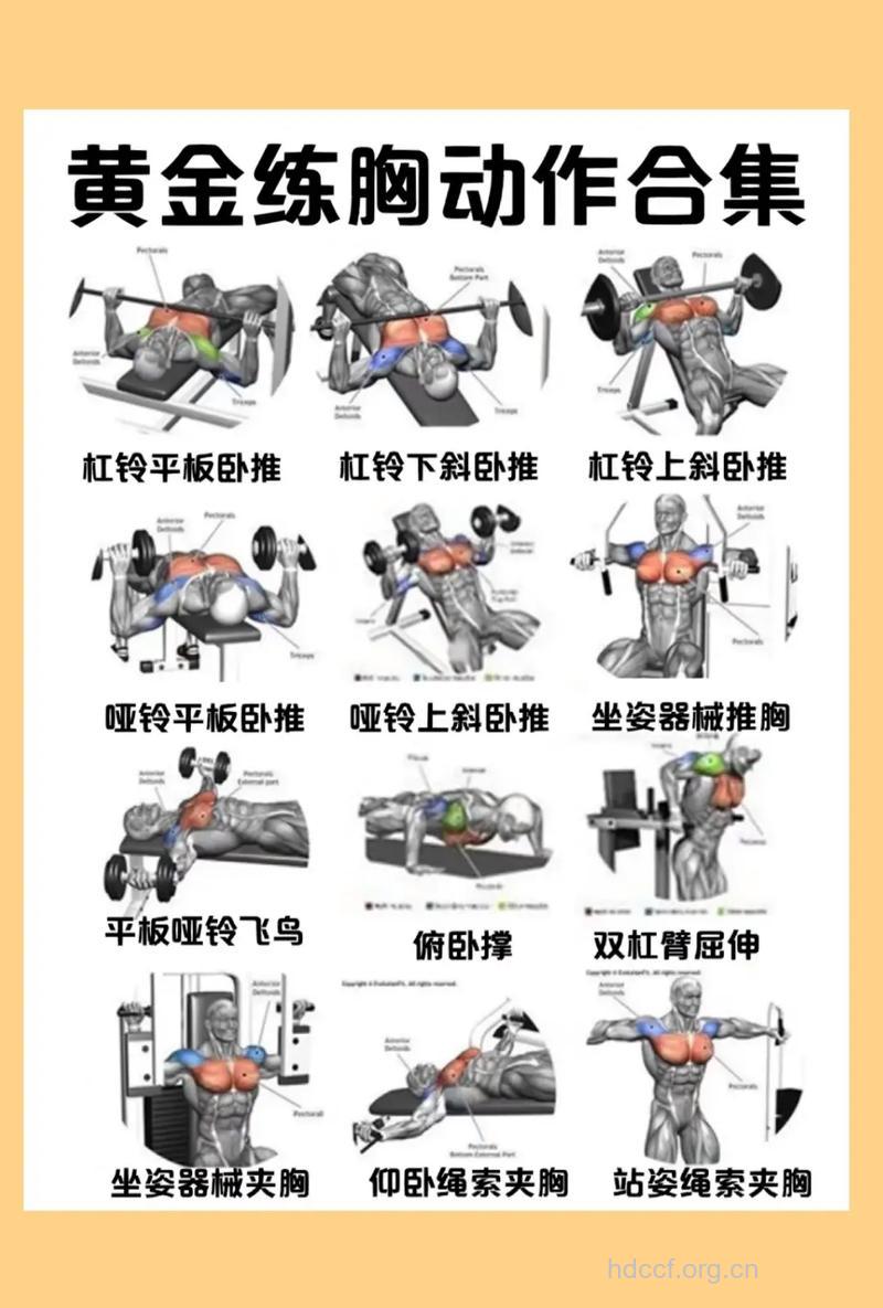 6种训练方式让你的胸肌更牛