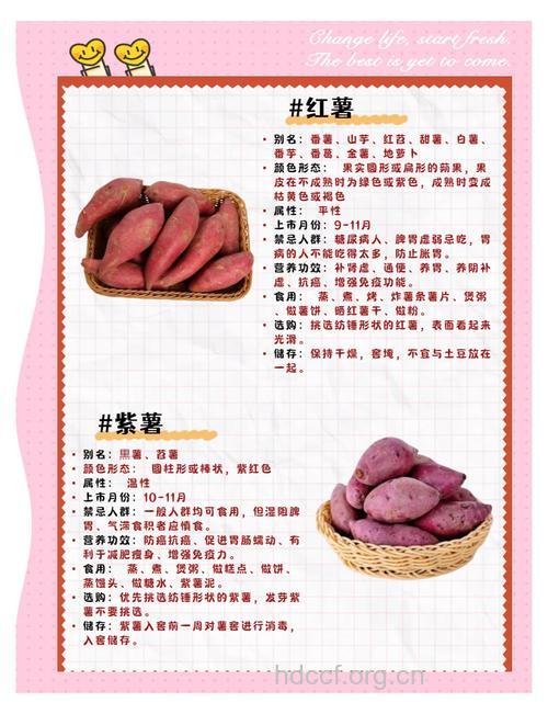 红薯的营养价值及吃法