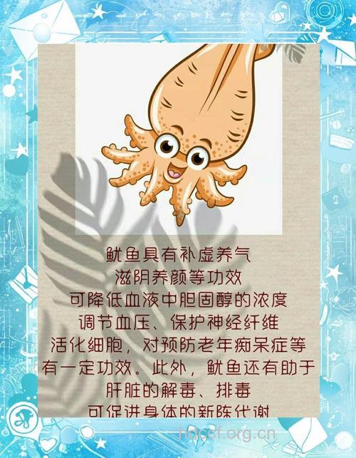 新鲜鱿鱼的营养功效及禁忌