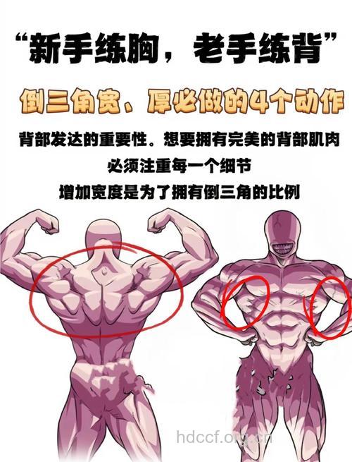 男士塑造背部肌肉的4种方法