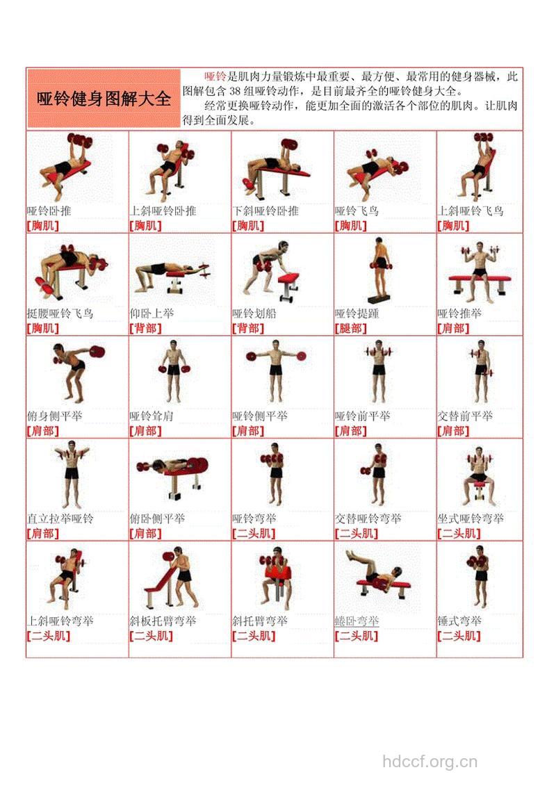 怎么用哑铃练腹肌 推荐6种方式