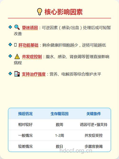出现肝昏迷还能活多久?