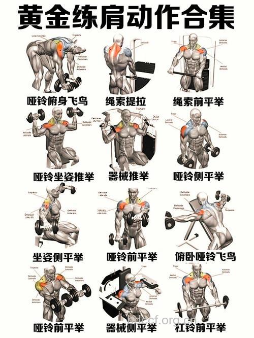 4种必练的肩部动作让男人更强壮