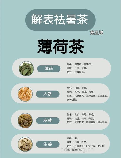 怎么喝药茶清爽夏季方法