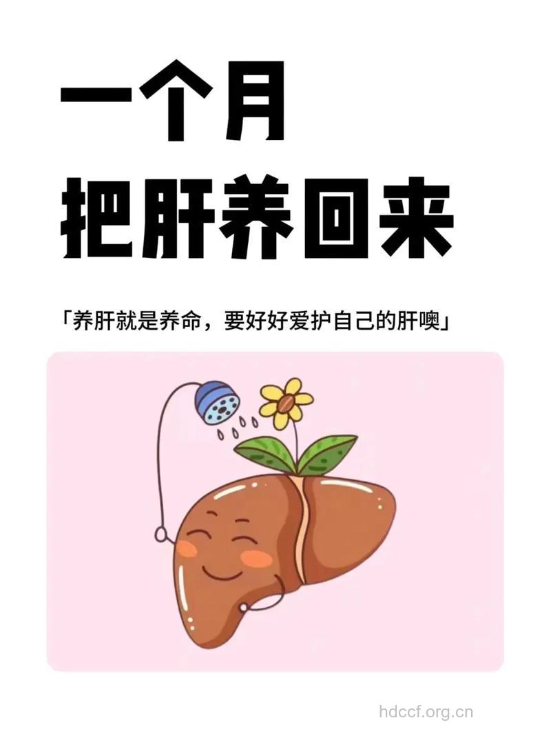 佳节“暖肝”系关键!
