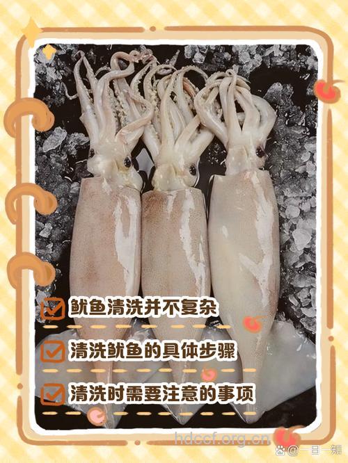 怎么食用鱿鱼治疗肾虚