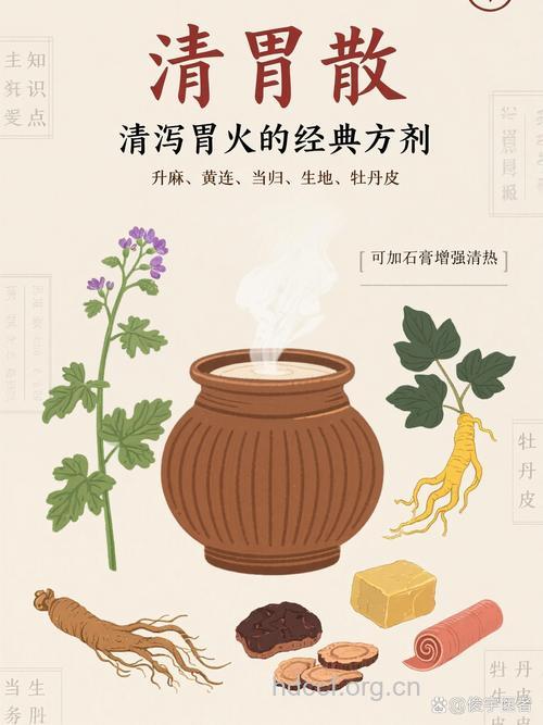中医有哪些食疗偏方可治疗呕吐