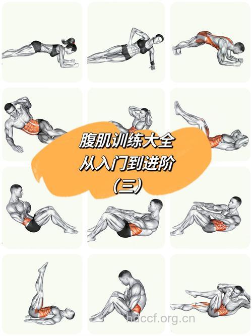 八个动作打造完美人鱼线