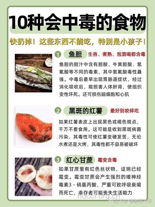 哪些食物生吃危害大