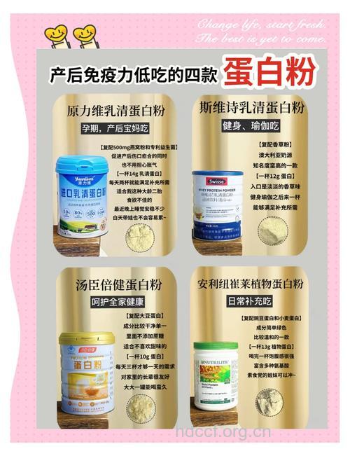 蛋白粉有哪些功效和作用