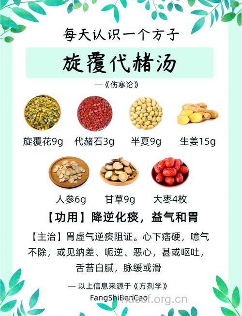 慢性疲劳综合征的药粥调理方法