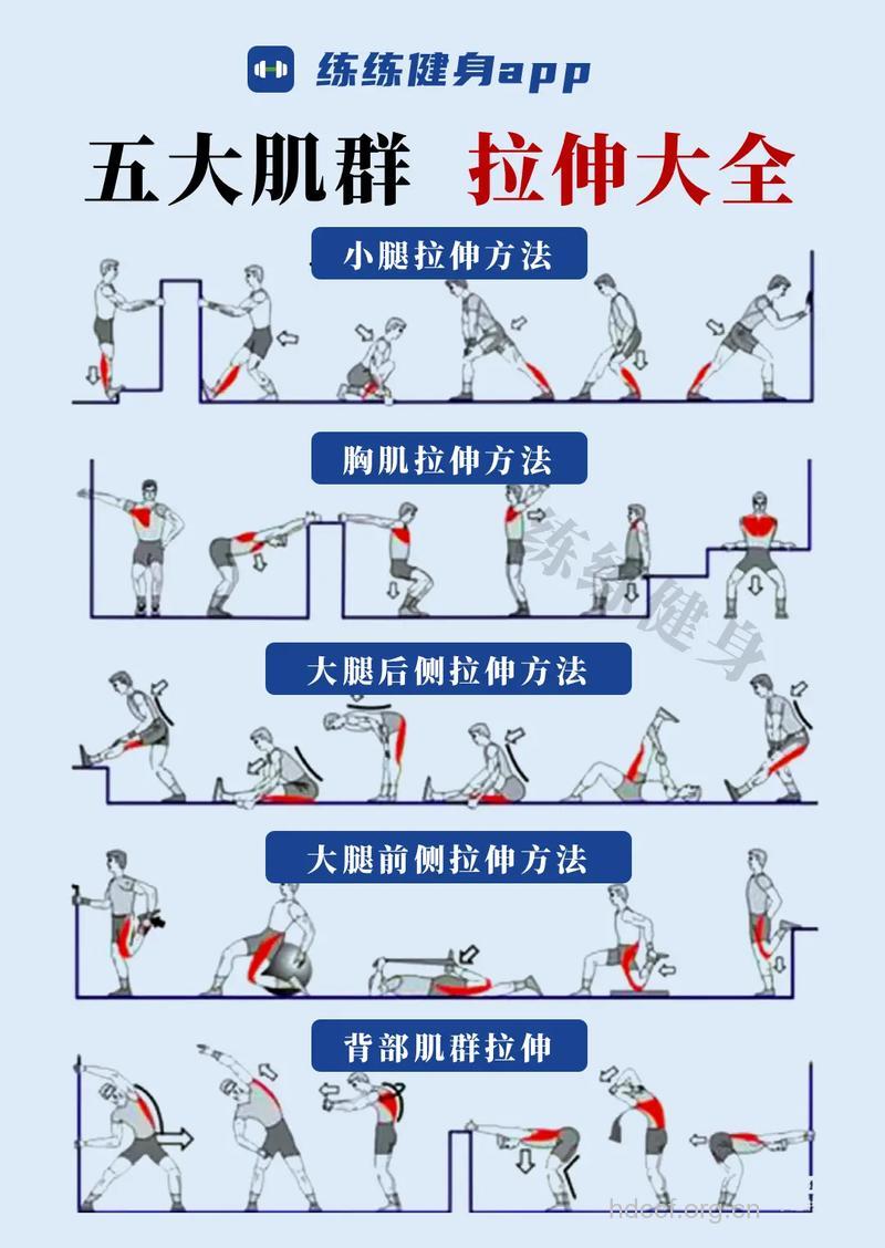 健身必学的10个拉伸动作