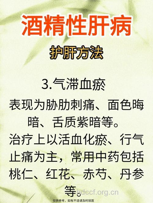 中医辨证治疗酒精肝
