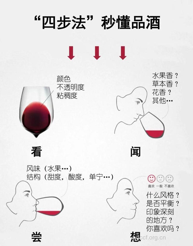 怎么喝葡萄酒滋养五脏