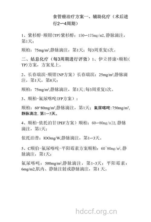 食道癌转移后的治疗方案