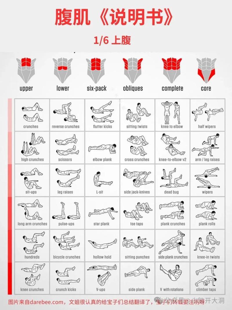 怎样才能快速长肌肉 推荐增肌终极教程