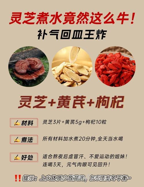 灵芝泡酒有哪些药用功效