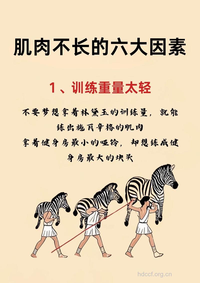 导致肌肉长不快的六大因素