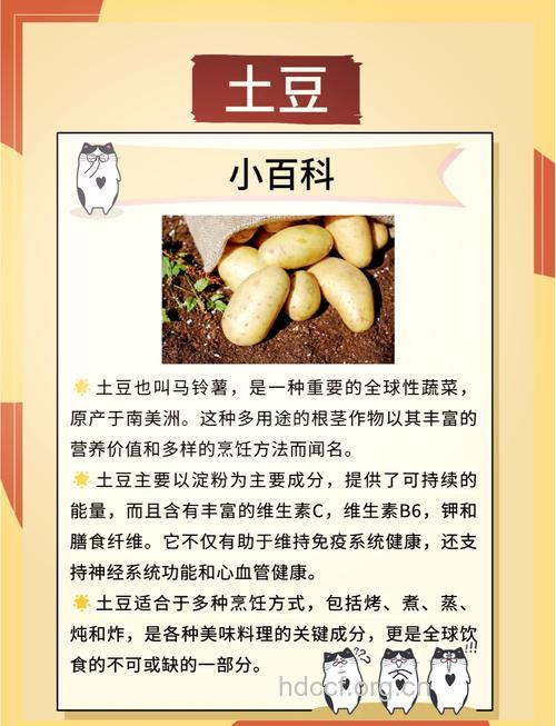 怎么样吃土豆更有利健康