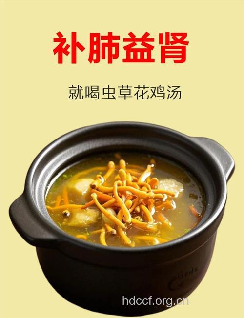 虫草花鸡汤有什么功效