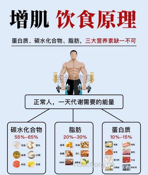 男性增肌减脂的7大秘诀
