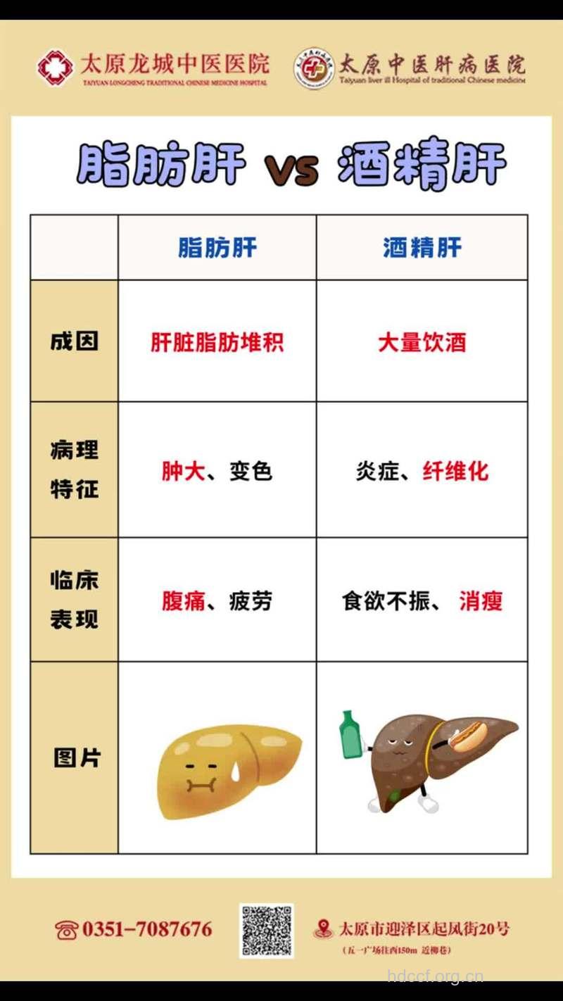 酒精性脂肪肝诊断方法