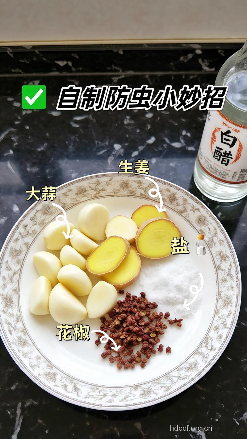 做菜应该怎么放葱姜蒜椒