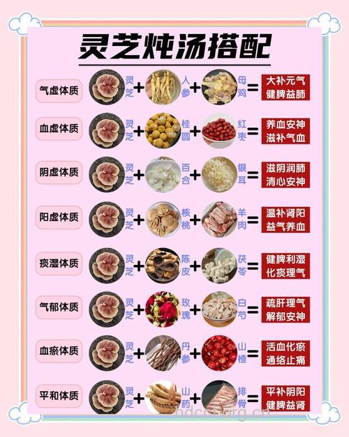 夏季怎么喝灵芝汤养生保健