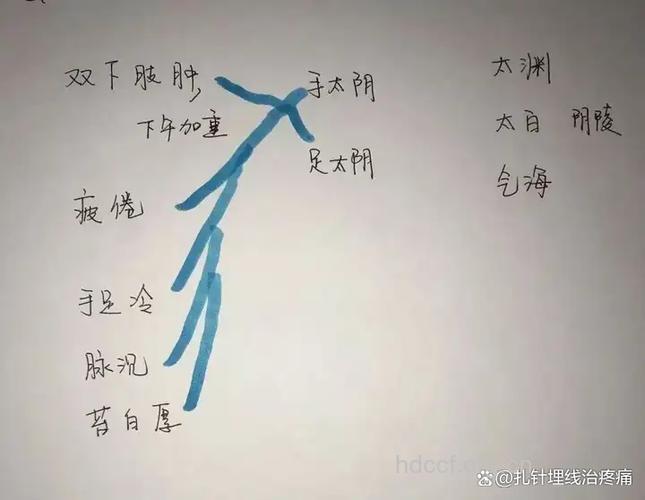中医如何治疗大象腿