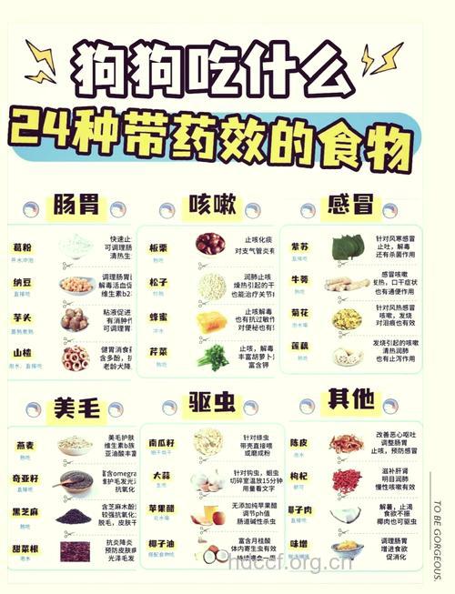 怎么用食物治疗疾病