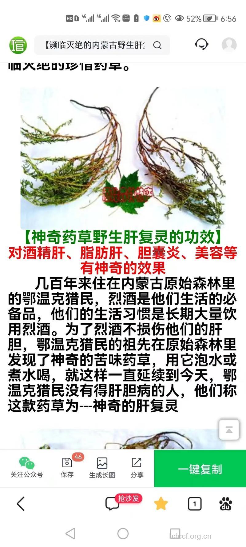 哪些中药可治疗酒精肝