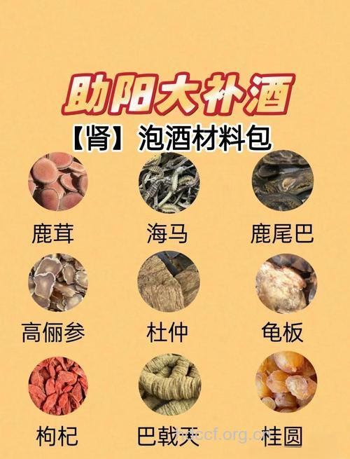 中医怎么用中医泡药酒