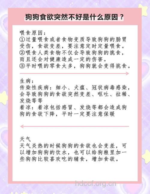 哪些原因会导致你食欲不振？