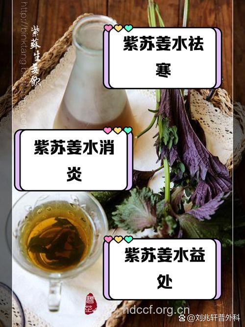 紫苏泡酒有什么功效