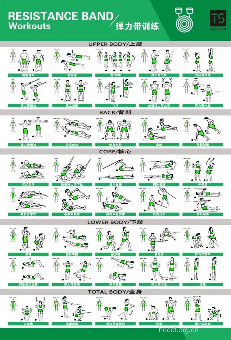 最有益身体健康的健身动作