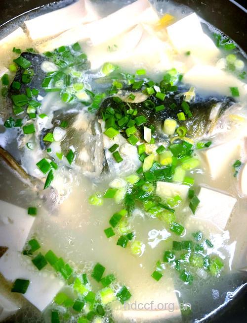 鲢鱼头豆腐汤有什么功效