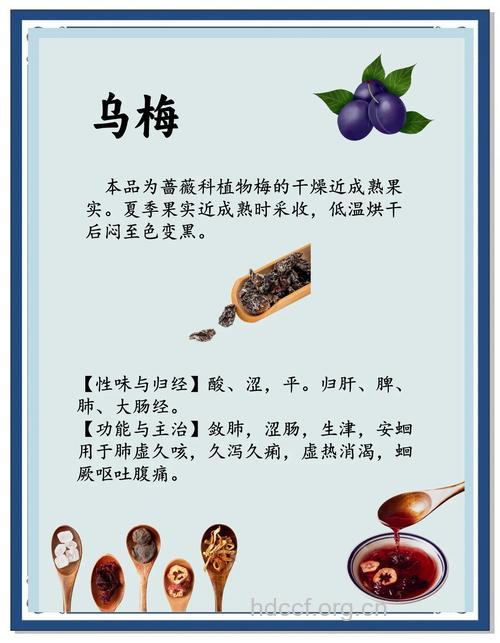 感冒后为什么不能喝酸梅汤