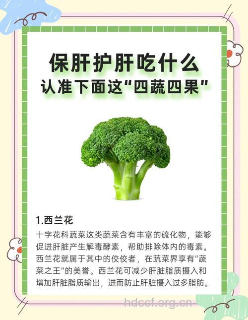 预防酒精肝多吃四类蔬果