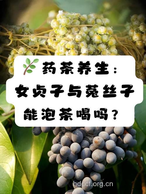 哪些药茶可治疗盆腔炎
