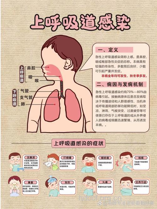 孩子反复呼吸道感染怎么办