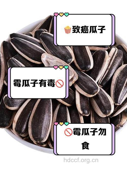 吃发霉瓜子会提高肝癌的发病率