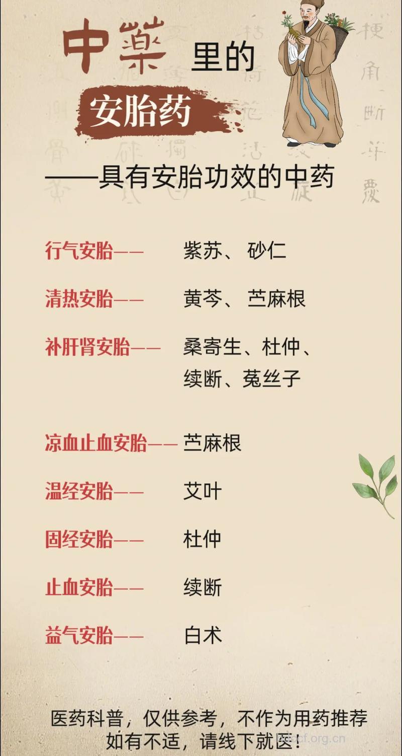 有哪些中药可以安胎?