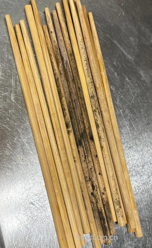 筷子发霉会诱发肝癌 警惕生活中的肝杀手