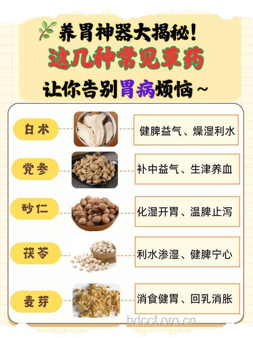 哪些小偏方可治疗胃病