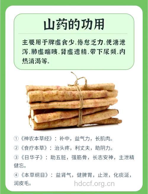 夏季吃山药的营养功效