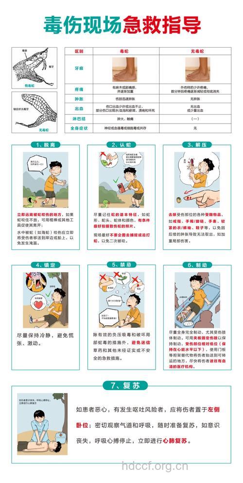 被动物咬伤后要怎么急救